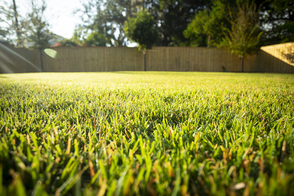 The Best Grass Types For Erosion Control in Florida